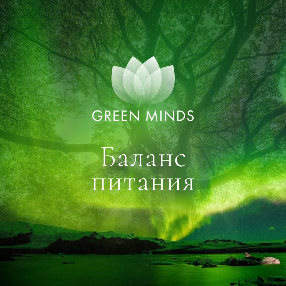 Нейромедитация GREEN MINDS «Баланс питания» по цене 460 руб. - купить в  Юбилейном (Москва) ☛ Доставка ☆ Интернет-магазин «EcoGreenDom»